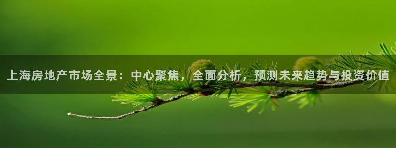 新宝5官网霸：上海房地产市场全景：中心聚焦，全面分析，预测未
