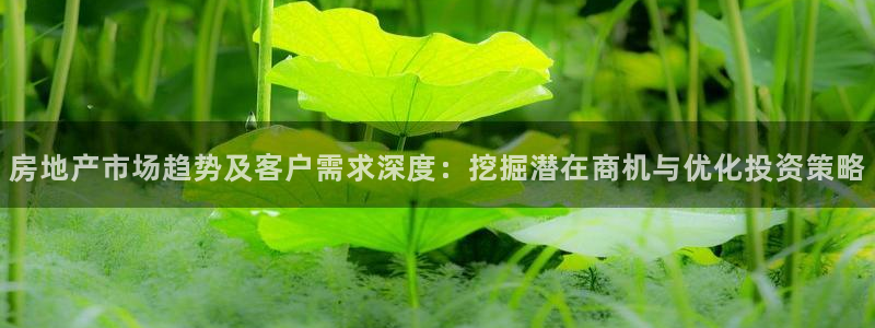 新宝5手机app：房地产市场趋势及客户需求深度：挖掘潜在商机