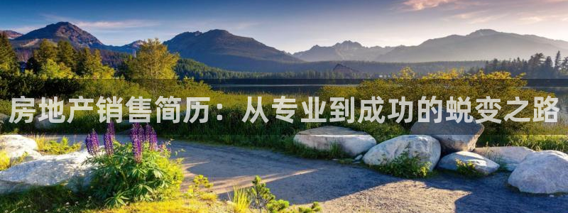 新宝5 测速：房地产销售简历：从专业到成功的蜕变之路
