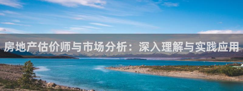 新宝5官方登录入口：房地产估价师与市场分析：深入理解与实践应
