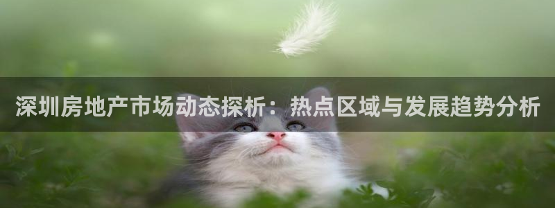 新宝5登录测速中心：深圳房地产市场动态探析：热点区域与发展趋