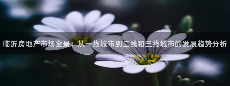 新宝5玩法：临沂房地产市场全景：从一线城市到二线和三线城市的