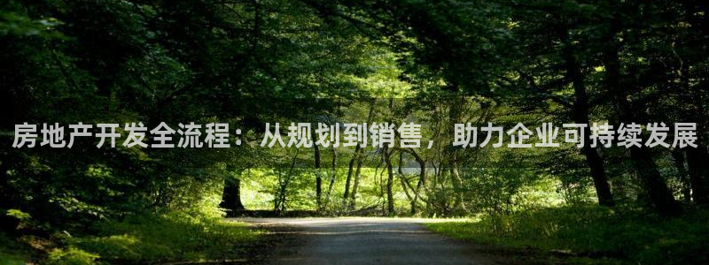 新宝娱乐5入口：房地产开发全流程：从规划到销售，助力企业可持